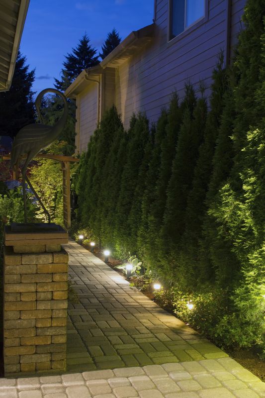 Low Voltage Lighting Service in Olathe, KS